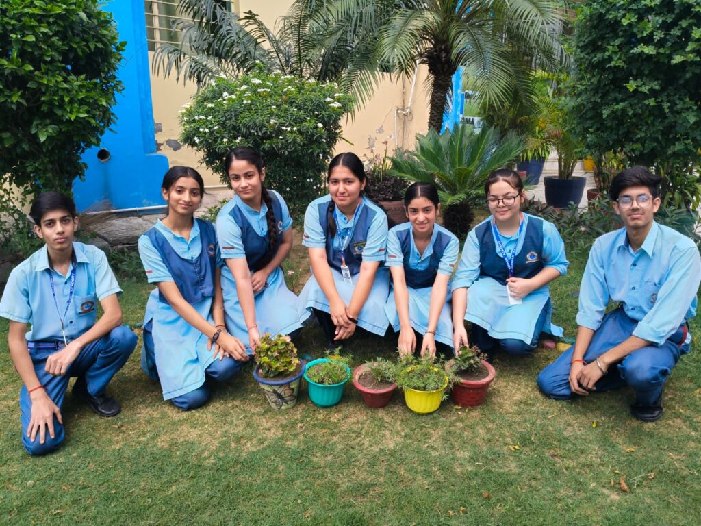 Environment Day